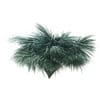 Silver Fan Palm Tree 3D Model 2.6m (11048) - Image 5