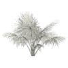 Silver Fan Palm Tree 3D Model 2m (11050) - Image 2
