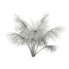 Silver Fan Palm Tree 3D Model 2m (11050) - Image 4