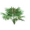 Thatch Palm Tree 3D Model 1.9m (11060) - Image 3