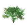 Thatch Palm Tree 3D Model 1.9m (11060) - Image 5