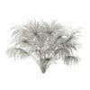 Thatch Palm Tree 3D Model 1.9m (11060) - Image 6