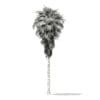 California Palm Tree 3D Model 11.5m (11061) - Image 4