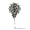 California Palm Tree 3D Model 6.8m (11063) - Image 8