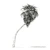 California Palm Tree 3D Model 9.8m - Image 6