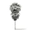 California Palm Tree 3D Model 9.9m (11065) - Image 4