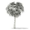 California Palm Tree 3D Model 7.5m (11067) - Image 4