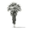 California Palm Tree 3D Model 8m (11068) - Image 8