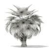 California Palm Tree 3D Model 5.4m (11070) - Image 2