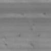 Light Wood PBR Texture - Image 4