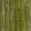 Mossy Old Wood PBR Texture - Image 2