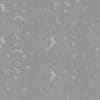 Old Metal PBR Texture - Image 3
