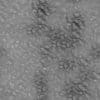 Wrinkled Gold Foil PBR Texture - Image 4
