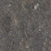 Dirt with Pine Needles PBR Texture - Image 2