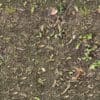 Dirt with Plants and Sticks PBR Texture - Image 2