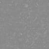 Dirt with Plants and Sticks PBR Texture - Image 3