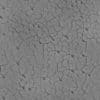 Dry Cracked Dirt PBR Texture - Image 4