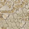 Dry Cracked Dirt PBR Texture - Image 2