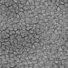 Dry Cracked Dirt PBR Texture - Image 4