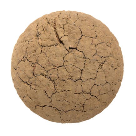 Dry Cracked Dirt PBR Texture