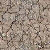 Dry Cracked Dirt PBR Texture - Image 2