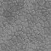 Gravel Pavement PBR Texture - Image 4