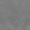 Gravel Pavement PBR Texture - Image 4