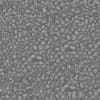 Gravel Pavement PBR Texture - Image 4