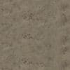 Grey Dirt PBR Texture - Image 2