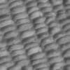 Stone Pavement PBR Texture - Image 4