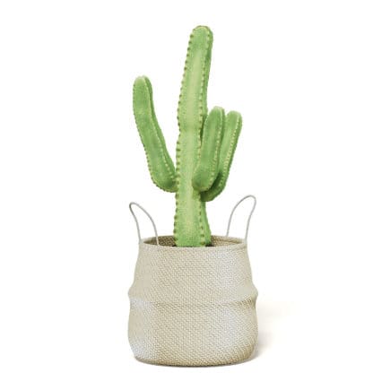 Cactus in Wicker Basket 3D Model
