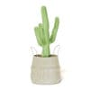 Cactus in Wicker Basket 3D Model - Image 6