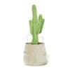 Cactus in Wicker Basket 3D Model - Image 8