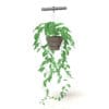Hanging Plant 3D Model - Image 7