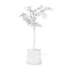 Small Tree 3D Model in Black Pot - Image 8
