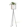Plant on Tall Rack 3D Model - Image 3