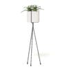 Plant on Tall Rack 3D Model - Image 5
