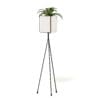 Plant on Tall Rack 3D Model - Image 7