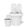 Cactuses in Black Pots 3D Model - Image 2