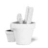 Cactuses in Black Pots 3D Model - Image 4