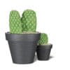 Cactuses in Black Pots 3D Model - Image 5