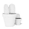 Cactuses in Black Pots 3D Model - Image 6