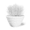 Plant in Black Pot 3D Model - Image 4