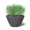 Plant in Black Pot 3D Model - Image 5