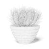 Plant in Black Pot 3D Model - Image 6