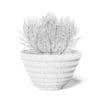 Plant in Black Pot 3D Model - Image 8