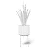 Aloe in White Pot 3D Model - Image 2