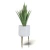 Aloe in White Pot 3D Model - Image 3