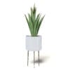 Aloe in White Pot 3D Model - Image 5