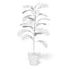 Fig Plant 3D Model in Brown Pot - Image 2